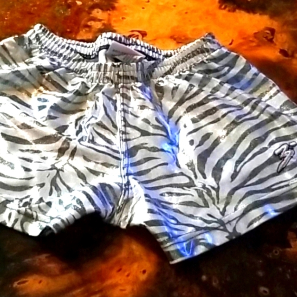 NEW 3° Womens Silver Metallic Festival Shorts